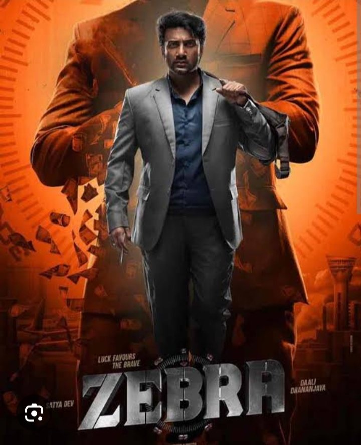 Zebra – Official Trailer: A Riveting Tale of Truth, Justice, and Human Struggles 1 Zebra director