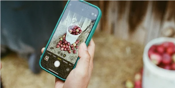 Apple iPhone Camera Tips